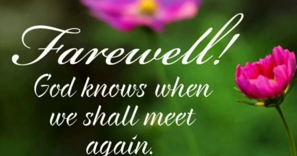 Heartfelt Farewell Captions