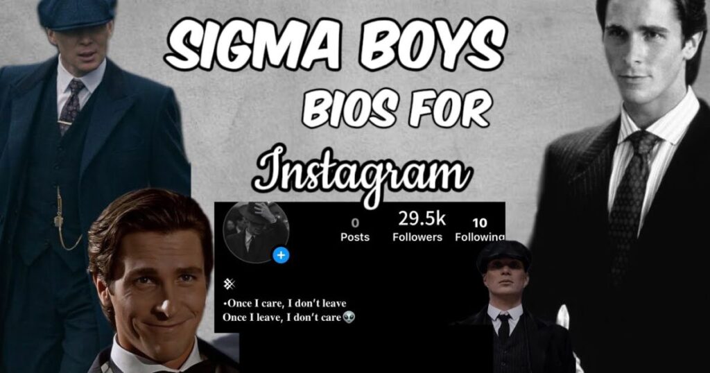 Instagram Bio for Sigma Boys