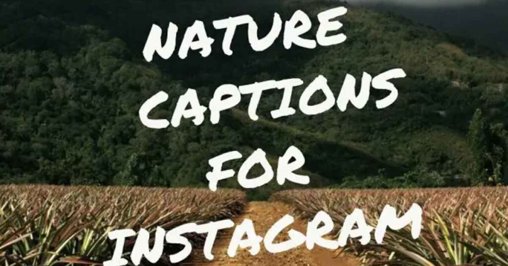 Nature Captions